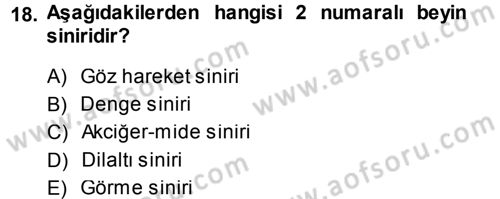 Temel Veteriner Anatomi Dersi 2014 - 2015 Yılı (Final) Dönem Sonu Sınav Soruları 18. Soru
