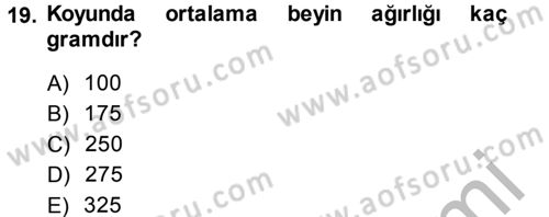 Temel Veteriner Anatomi Dersi 2014 - 2015 Yılı (Final) Dönem Sonu Sınav Soruları 19. Soru