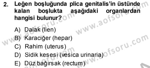 Temel Veteriner Anatomi Dersi 2014 - 2015 Yılı (Final) Dönem Sonu Sınav Soruları 2. Soru
