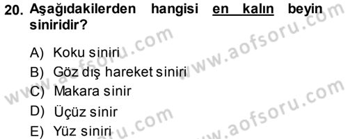 Temel Veteriner Anatomi Dersi 2014 - 2015 Yılı (Final) Dönem Sonu Sınav Soruları 20. Soru