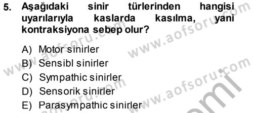 Temel Veteriner Anatomi Dersi 2014 - 2015 Yılı (Final) Dönem Sonu Sınav Soruları 5. Soru