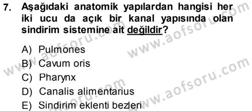 Temel Veteriner Anatomi Dersi 2014 - 2015 Yılı (Final) Dönem Sonu Sınav Soruları 7. Soru