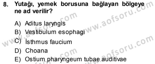 Temel Veteriner Anatomi Dersi 2014 - 2015 Yılı (Final) Dönem Sonu Sınav Soruları 8. Soru