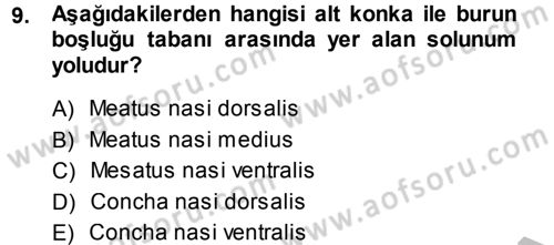 Temel Veteriner Anatomi Dersi 2014 - 2015 Yılı (Final) Dönem Sonu Sınav Soruları 9. Soru