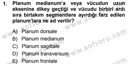 Temel Veteriner Anatomi Dersi 2014 - 2015 Yılı Tek Ders Sınav Soruları 1. Soru