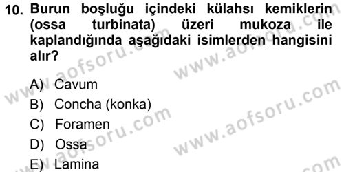 Temel Veteriner Anatomi Dersi 2014 - 2015 Yılı Tek Ders Sınav Soruları 10. Soru