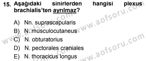 Temel Veteriner Anatomi Dersi 2014 - 2015 Yılı Tek Ders Sınav Soruları 15. Soru