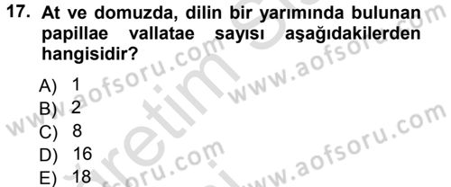 Temel Veteriner Anatomi Dersi 2014 - 2015 Yılı Tek Ders Sınav Soruları 17. Soru