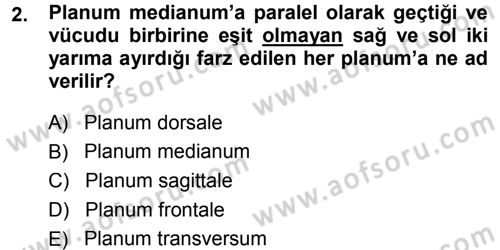 Temel Veteriner Anatomi Dersi 2014 - 2015 Yılı Tek Ders Sınav Soruları 2. Soru