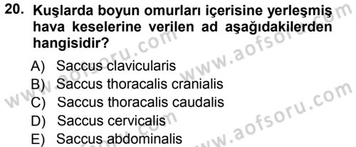 Temel Veteriner Anatomi Dersi 2014 - 2015 Yılı Tek Ders Sınav Soruları 20. Soru