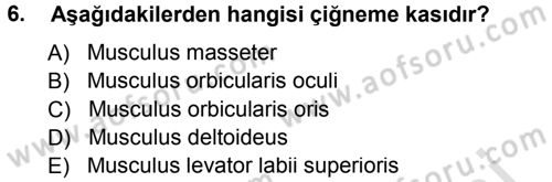 Temel Veteriner Anatomi Dersi 2014 - 2015 Yılı Tek Ders Sınav Soruları 6. Soru