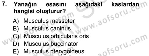 Temel Veteriner Anatomi Dersi 2014 - 2015 Yılı Tek Ders Sınav Soruları 7. Soru