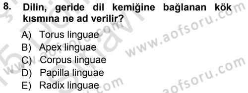 Temel Veteriner Anatomi Dersi 2014 - 2015 Yılı Tek Ders Sınav Soruları 8. Soru