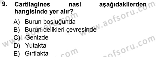 Temel Veteriner Anatomi Dersi 2014 - 2015 Yılı Tek Ders Sınav Soruları 9. Soru