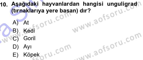 Temel Veteriner Anatomi Dersi Ara Sınavı Deneme Sınav Soruları 10. Soru