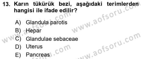 Temel Veteriner Anatomi Dersi Ara Sınavı Deneme Sınav Soruları 13. Soru