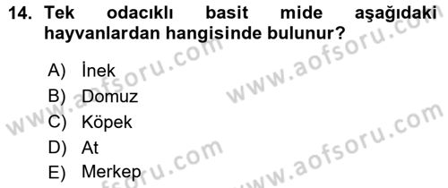 Temel Veteriner Anatomi Dersi Ara Sınavı Deneme Sınav Soruları 14. Soru