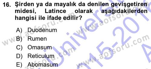 Temel Veteriner Anatomi Dersi 2015 - 2016 Yılı (Vize) Ara Sınav Soruları 16. Soru