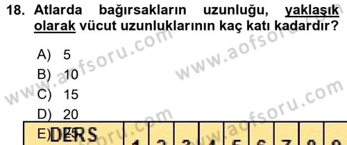 Temel Veteriner Anatomi Dersi Ara Sınavı Deneme Sınav Soruları 18. Soru