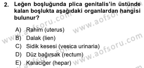 Temel Veteriner Anatomi Dersi 2015 - 2016 Yılı (Vize) Ara Sınavı 2. Soru