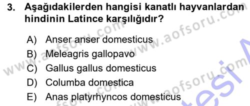 Temel Veteriner Anatomi Dersi 2015 - 2016 Yılı (Vize) Ara Sınav Soruları 3. Soru