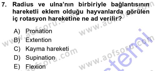 Temel Veteriner Anatomi Dersi Ara Sınavı Deneme Sınav Soruları 7. Soru