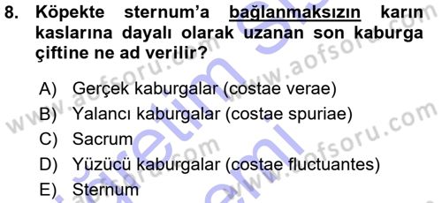 Temel Veteriner Anatomi Dersi 2015 - 2016 Yılı (Vize) Ara Sınav Soruları 8. Soru