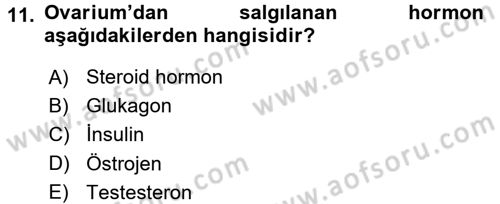 Temel Veteriner Anatomi Dersi 2015 - 2016 Yılı (Final) Dönem Sonu Sınav Soruları 11. Soru