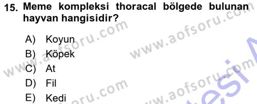 Temel Veteriner Anatomi Dersi 2015 - 2016 Yılı (Final) Dönem Sonu Sınavı 15. Soru