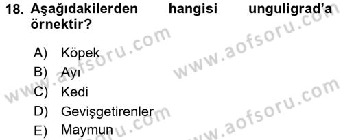 Temel Veteriner Anatomi Dersi 2015 - 2016 Yılı (Final) Dönem Sonu Sınav Soruları 18. Soru