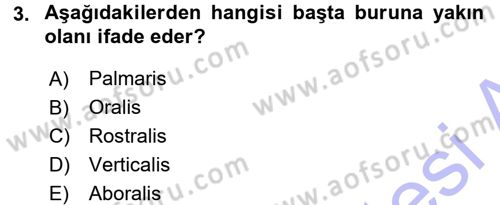 Temel Veteriner Anatomi Dersi 2015 - 2016 Yılı (Final) Dönem Sonu Sınav Soruları 3. Soru