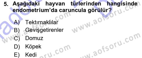 Temel Veteriner Anatomi Dersi 2015 - 2016 Yılı (Final) Dönem Sonu Sınav Soruları 5. Soru