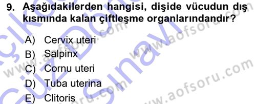 Temel Veteriner Anatomi Dersi 2015 - 2016 Yılı (Final) Dönem Sonu Sınavı 9. Soru