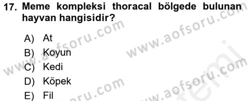 Temel Veteriner Anatomi Dersi 2015 - 2016 Yılı Tek Ders Sınavı 17. Soru