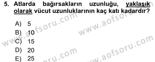 Temel Veteriner Anatomi Dersi 2015 - 2016 Yılı Tek Ders Sınav Soruları 5. Soru