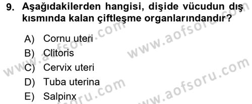 Temel Veteriner Anatomi Dersi 2015 - 2016 Yılı Tek Ders Sınavı 9. Soru