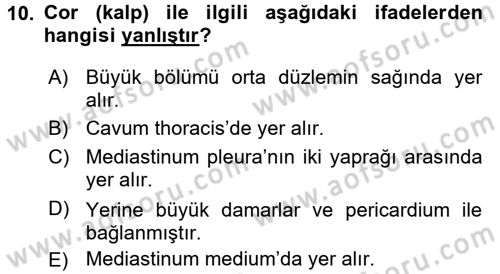 Temel Veteriner Anatomi Dersi 2016 - 2017 Yılı 3 Ders Sınavı 10. Soru