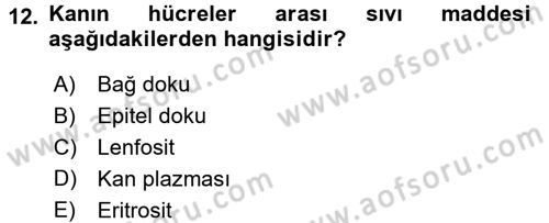 Temel Veteriner Anatomi Dersi 2016 - 2017 Yılı 3 Ders Sınav Soruları 12. Soru