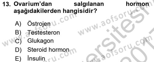 Temel Veteriner Anatomi Dersi 2016 - 2017 Yılı 3 Ders Sınav Soruları 13. Soru