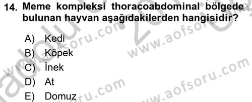 Temel Veteriner Anatomi Dersi 2016 - 2017 Yılı 3 Ders Sınav Soruları 14. Soru
