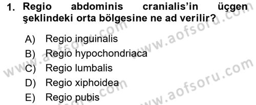 Temel Veteriner Anatomi Dersi Ara Sınavı Deneme Sınav Soruları 1. Soru