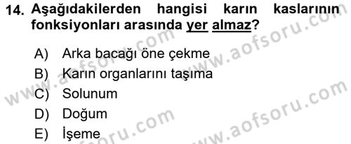 Temel Veteriner Anatomi Dersi 2016 - 2017 Yılı (Vize) Ara Sınavı 14. Soru