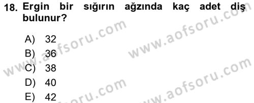 Temel Veteriner Anatomi Dersi 2016 - 2017 Yılı (Vize) Ara Sınavı 18. Soru