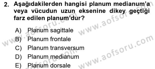 Temel Veteriner Anatomi Dersi Ara Sınavı Deneme Sınav Soruları 2. Soru