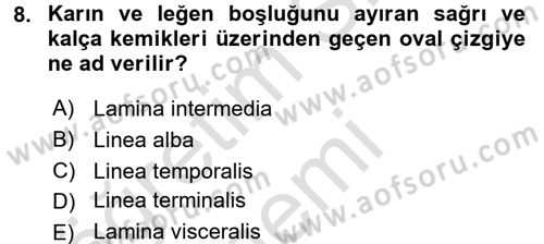 Temel Veteriner Anatomi Dersi Ara Sınavı Deneme Sınav Soruları 8. Soru