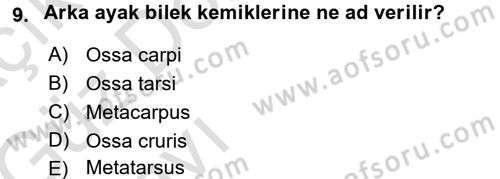 Temel Veteriner Anatomi Dersi 2016 - 2017 Yılı (Vize) Ara Sınav Soruları 9. Soru