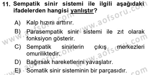 Temel Veteriner Anatomi Dersi 2016 - 2017 Yılı (Final) Dönem Sonu Sınav Soruları 11. Soru