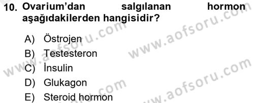 Temel Veteriner Anatomi Dersi 2017 - 2018 Yılı 3 Ders Sınav Soruları 10. Soru