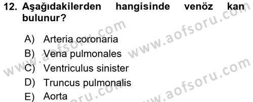 Temel Veteriner Anatomi Dersi 2017 - 2018 Yılı 3 Ders Sınav Soruları 12. Soru