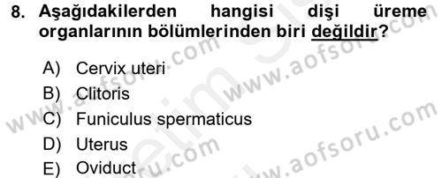 Temel Veteriner Anatomi Dersi 2017 - 2018 Yılı 3 Ders Sınav Soruları 8. Soru